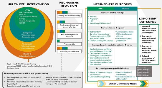 Growing Up GREAT! Theory of Change